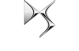 DS logo